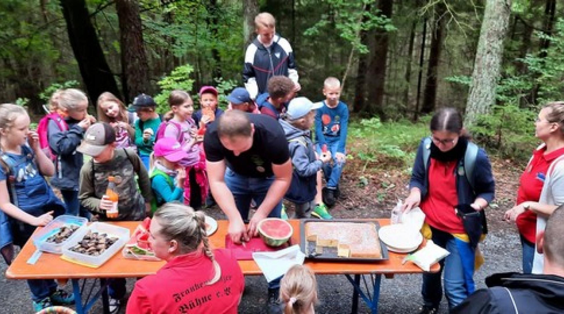 08 Wald 11. September 2021