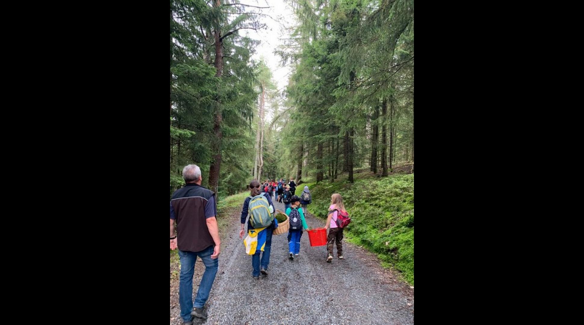 12 Wald 11. September 2021